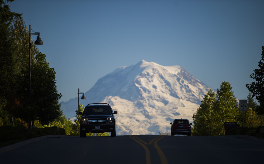 Mount Rainier in the background of a road bordered by trees.