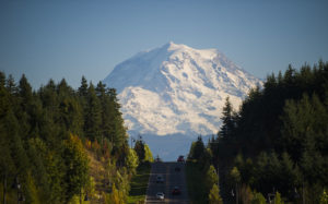 Mount Rainier in the background of a road bordered by trees.