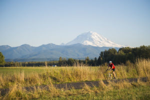 A man bikes along a country road bordered with barns and pastures.