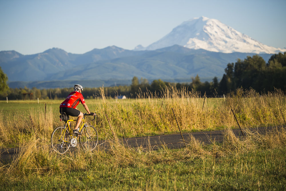 A man bikes along a country road bordered with barns and pastures.