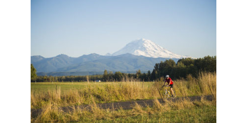 A man bikes along a country road bordered with barns and pastures
